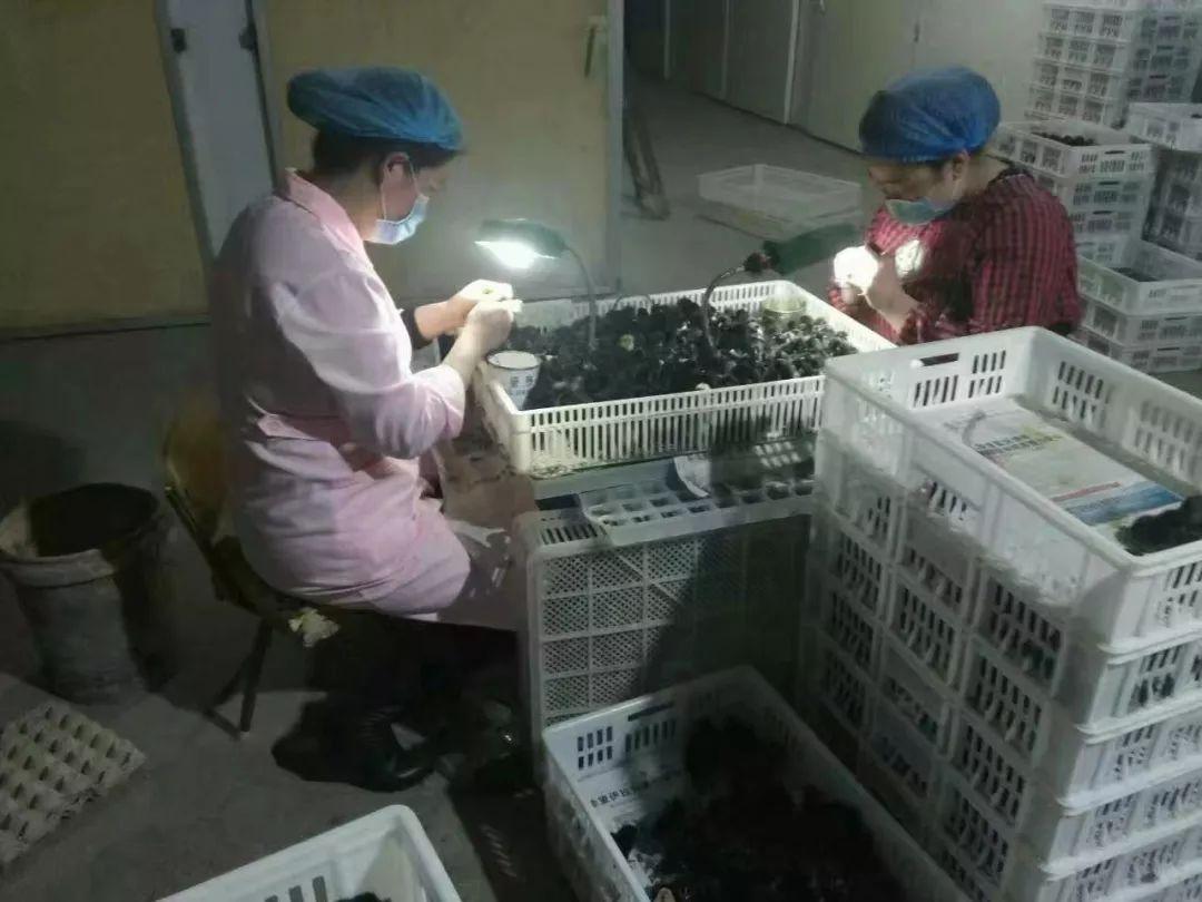 自熬鸡汤不香？问题或出在鸡的品种