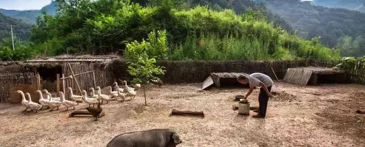 传统村落的寻古与求新之困